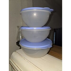 NEW Tupperware Wonderlier Bowls Set of 3 Sheer With Butterfly Lids